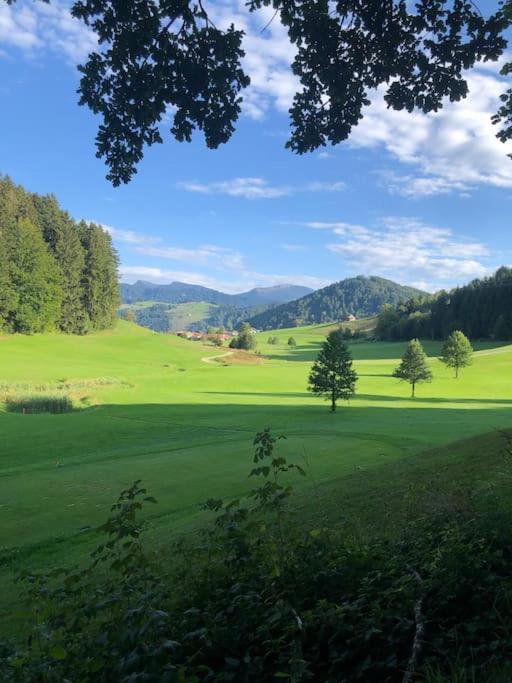 Lovely Three Bedroom Rental Unit Oberstaufen Exteriör bild
